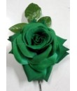 flor Flamenca verde