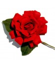 flor Flamenca roja